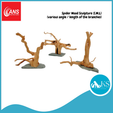 Load image into Gallery viewer, ANS Spider Wood Sculpture (S,M,L) Fish & Aquascape