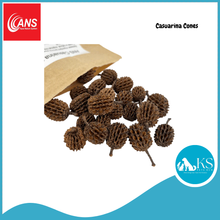 Load image into Gallery viewer, ANS Casuarina Cones/Dadap Leaves/Catappa Leaf Small & XL (5pcs) Fish & Aquatic