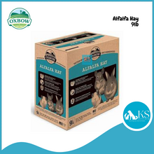 Load image into Gallery viewer, Oxbow Alfalfa Hay 15oz/40oz/9lb Rabbit Guinea Pig Hay Small Animal Feed