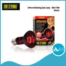 Load image into Gallery viewer, Exo Terra Infrared Basking Spot Lamp PT2142 - R20/75W