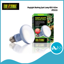 Load image into Gallery viewer, Exo Terra Daylight Basking Spot Lamp PT2133 - R25/100W Reptiles, Amphibians and Invertebrates