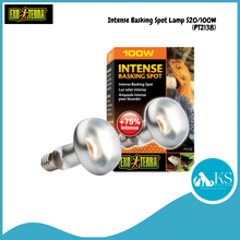 Load image into Gallery viewer, Exo Terra Intense Basking Spot Lamp PT2138 - S25/100W Reptiles, Amphibians and Invertebrates