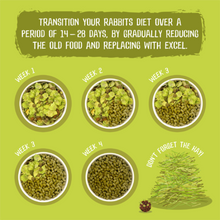 Load image into Gallery viewer, Burgess Excel Adult Rabbit Nuggets with Mint 1.5kg Small Animals Feed