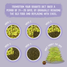 Load image into Gallery viewer, Burgess Excel Indoor Rabbit Nuggets with Dandelion & Nettle 1.5kg