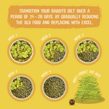 Load image into Gallery viewer, Burgess Excel Nature’s Blend Adult Rabbit Nuggets with Hedgerow Herbs 1.5kg