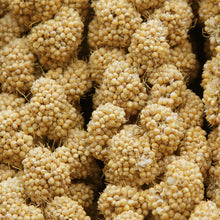 Load image into Gallery viewer, Higgins Millet Spray  6s / 12s Bird Feed