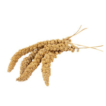 Load image into Gallery viewer, Witte Molen Country Millet Sprays 150g Parrot Bird Feed