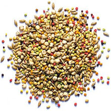Load image into Gallery viewer, Zupreem Sensible Seed Small / Medium / Large Bird 2lb Bird Feed
