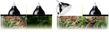 Load image into Gallery viewer, Exo Terra Glow Light / Porcelain Clamp Lamp + Glow Reflector Small PT2052 Reptiles, Amphibians and Invertebrates