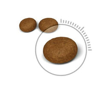 Load image into Gallery viewer, Royal Canin Feline Hair And Skin Care Cat Feed