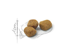 Load image into Gallery viewer, Royal Canin Feline Indoor 7+ Cat Feed