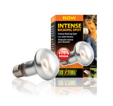 Load image into Gallery viewer, Exo Terra Intense Basking Spot Lamp PT2135 - S20/50W Reptiles, Amphibians and Invertebrates