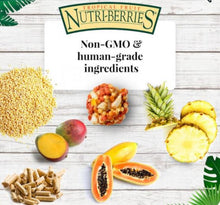 Load image into Gallery viewer, Lafeber Tropical Fruit Nutri-Berries for Cockatiel Conure Amazon Macaw 10oz Bird Feed Treats