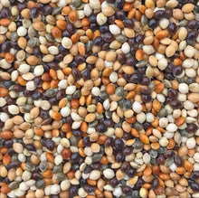 Load image into Gallery viewer, Golden Cup Mix Millets 1kg for Parrot Bird Food Diet
