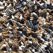 Load image into Gallery viewer, Golden Cup Parrot Premium Mix Seeds 25kg for Parrots Bird Food Diet