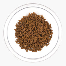 Load image into Gallery viewer, NurturePro Cat Nourish Life Alaskan Salmon Indoor Kitten & Adult Formula 300g/1.8kg/5.7kg Dry Cat Food