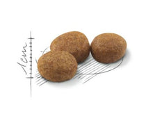Load image into Gallery viewer, Royal Canin Feline Adult Sterilised 37 2kg
