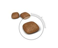 Load image into Gallery viewer, Royal Canin Feline Urinary Care 2kg / 4kg / 10kg Cat Feed
