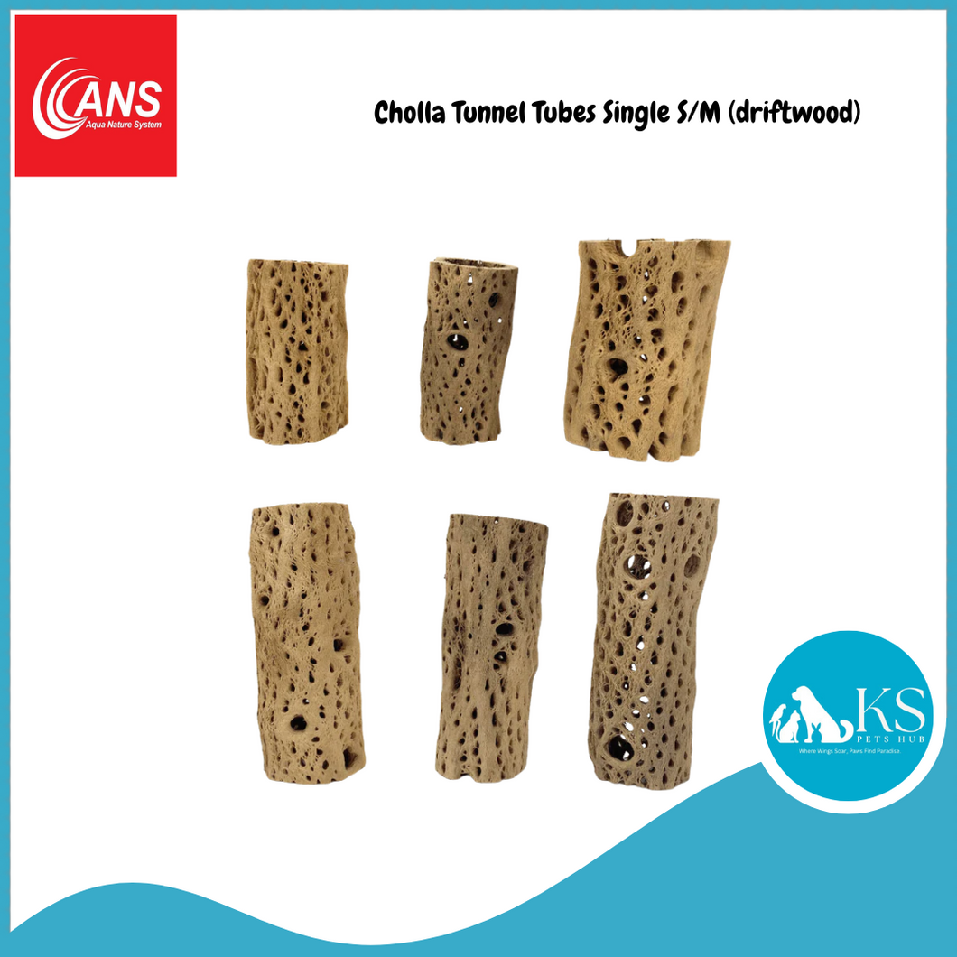 ANS Cholla Tunnel Tubes Single S/M (driftwood) Fish & Aquatic