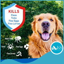 Load image into Gallery viewer, ADAMS Plus Flea &amp; Tick Spray 473ml For Cats &amp; Dogs