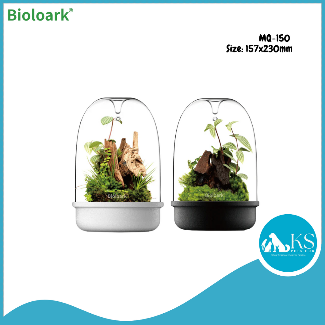 BIOLOARK - Bio Bottle Terrarium (MQ-150/175) (Black/White) Terrarium