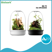 Load image into Gallery viewer, BIOLOARK - Bio Bottle Terrarium (MQ-150/175) (Black/White) Terrarium
