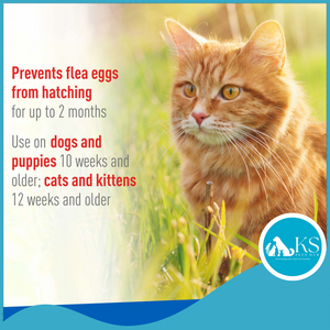 ADAMS Plus Flea & Tick Spray 473ml For Cats & Dogs