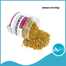 Load image into Gallery viewer, Nature Grains! Gammarus (50g/220g) Small Animals Aquatic Fish Treats
