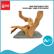 Load image into Gallery viewer, ANS Spider Wood Sculpture (S,M,L) Fish &amp; Aquascape