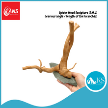 Load image into Gallery viewer, ANS Spider Wood Sculpture (S,M,L) Fish &amp; Aquascape