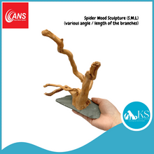 Load image into Gallery viewer, ANS Spider Wood Sculpture (S,M,L) Fish &amp; Aquascape