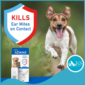 ADAMS Ear Mite Treatment 15ml For Cats & Dogs