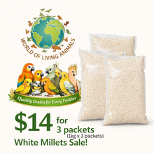 Load image into Gallery viewer, [WOLA White Millet] World Of Living Animals Bird Food 1kg