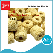 Load image into Gallery viewer, ANS Mini Bacteria House (2.5cm) 1kg Fish &amp; Aquatic