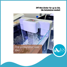 Load image into Gallery viewer, DYT Mini Chiller for up to 30L (No Installation Needed) Fish &amp; Aquatic