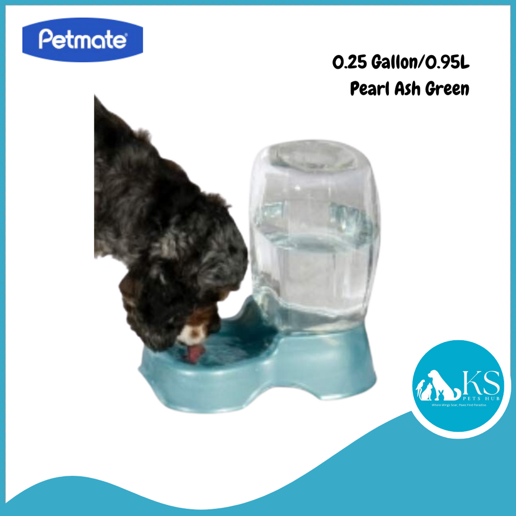 Petmate Pet Cafe Gravity Water Bowl 0.25 Gallon/ 0.95L