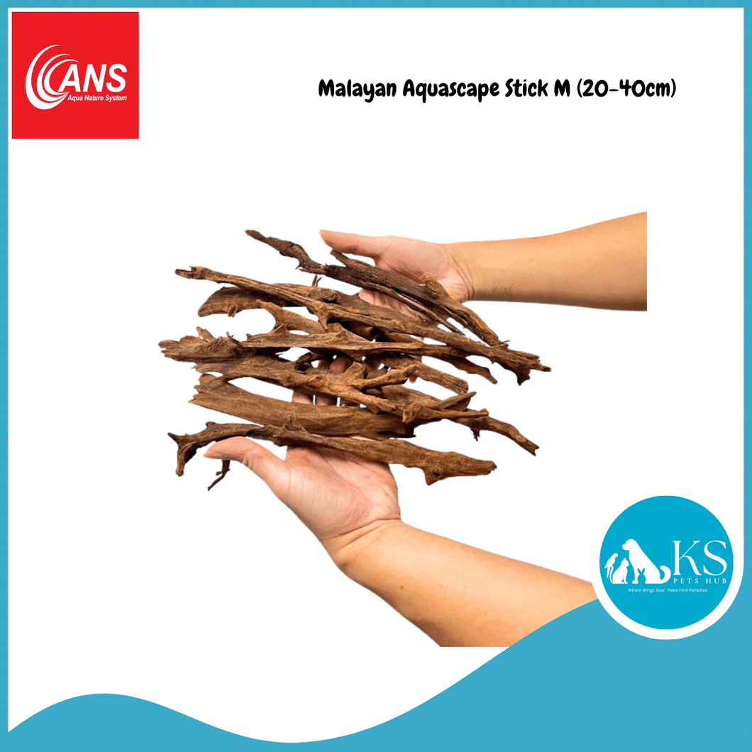 ANS Malayan Aquascape Stick M (20-40cm)/L (40-60cm) Fish & Aquatic
