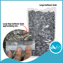 Load image into Gallery viewer, KSPH European Large Sunflower Seeds 1kg Bird Treat Food Topper