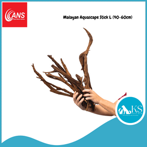 ANS Malayan Aquascape Stick M (20-40cm)/L (40-60cm) Fish & Aquatic