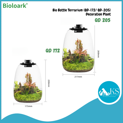 BIOLOARK - Bio Bottle Terrarium (QD-172/ QD-205) - Decoration Plant
