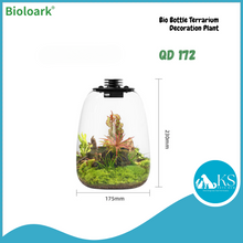 Load image into Gallery viewer, BIOLOARK - Bio Bottle Terrarium (QD-172/ QD-205) - Decoration Plant