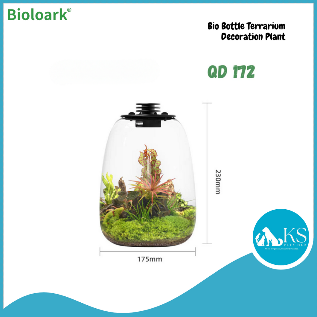 BIOLOARK - Bio Bottle Terrarium (QD-172/ QD-205) - Decoration Plant
