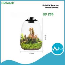 Load image into Gallery viewer, BIOLOARK - Bio Bottle Terrarium (QD-172/ QD-205) - Decoration Plant