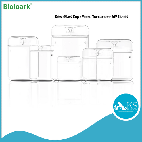 BIOLOARK Dew Glass Cup (Micro Terrarium) MY Series
