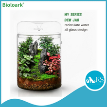 Load image into Gallery viewer, BIOLOARK Dew Glass Cup (Micro Terrarium) MY Series