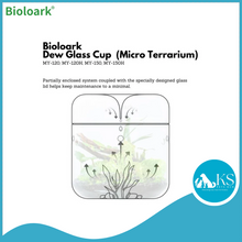 Load image into Gallery viewer, BIOLOARK Dew Glass Cup (Micro Terrarium) MY Series