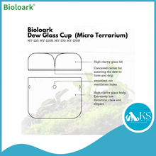 Load image into Gallery viewer, BIOLOARK Dew Glass Cup (Micro Terrarium) MY Series