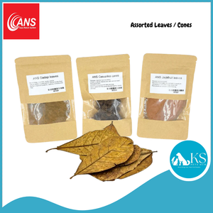 ANS Casuarina Cones/Dadap Leaves/Catappa Leaf Small & XL (5pcs) Fish & Aquatic