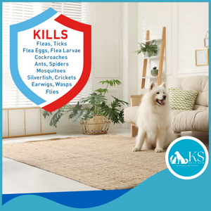 ADAMS Plus Flea & Tick Indoor Fogger For Pets