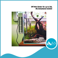 Load image into Gallery viewer, DYT Mini Chiller for up to 30L (No Installation Needed) Fish &amp; Aquatic